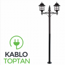 Zerpa Döküm Anadolu Armatür İkili Direk Z10202 (2.50 mt)